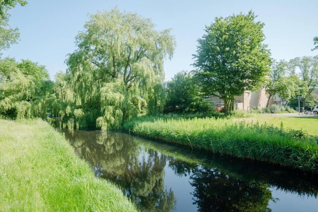 Cityhouse Alkmaar Dış mekan fotoğraf